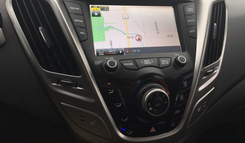 2013 Hyundai Veloster full